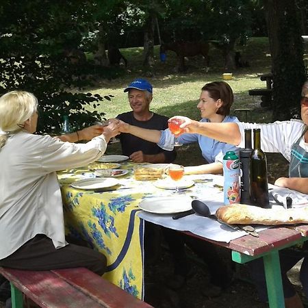 Pailloles Ferme Equestre Des Abronsヴィラ エクステリア 写真