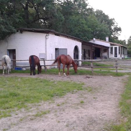 Pailloles Ferme Equestre Des Abronsヴィラ エクステリア 写真