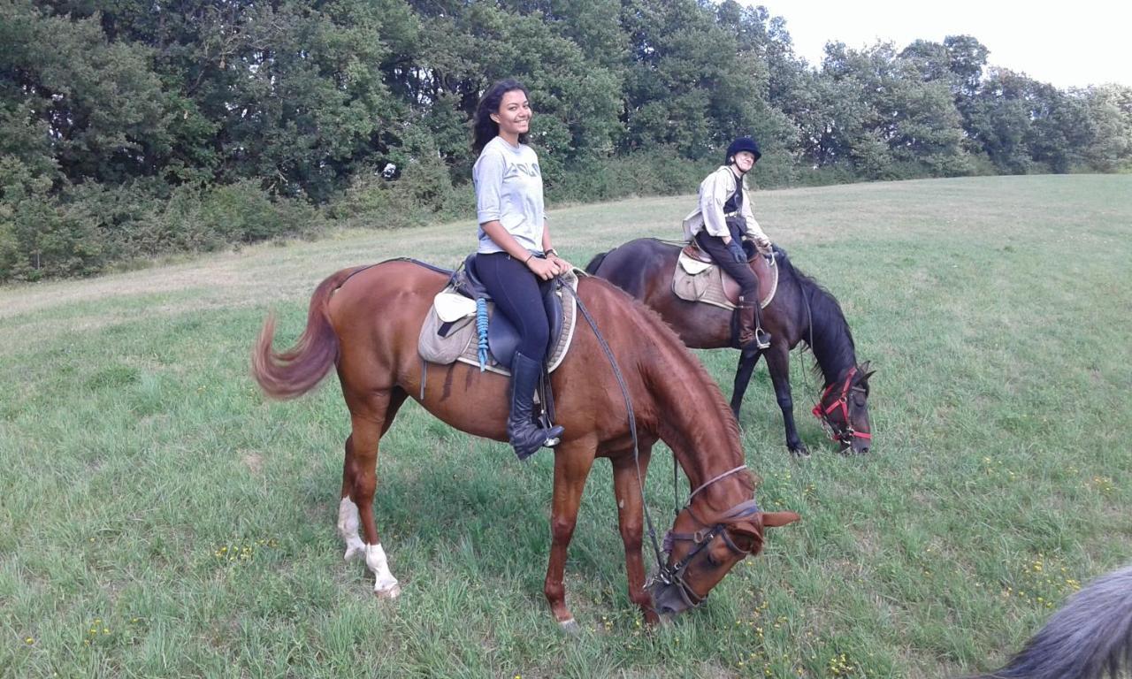 Pailloles Ferme Equestre Des Abronsヴィラ エクステリア 写真