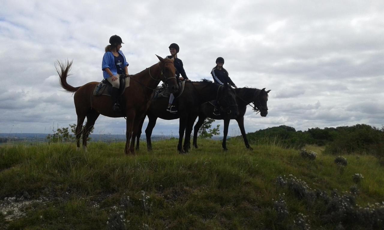 Pailloles Ferme Equestre Des Abronsヴィラ エクステリア 写真