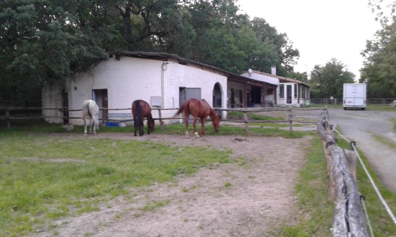Pailloles Ferme Equestre Des Abronsヴィラ エクステリア 写真