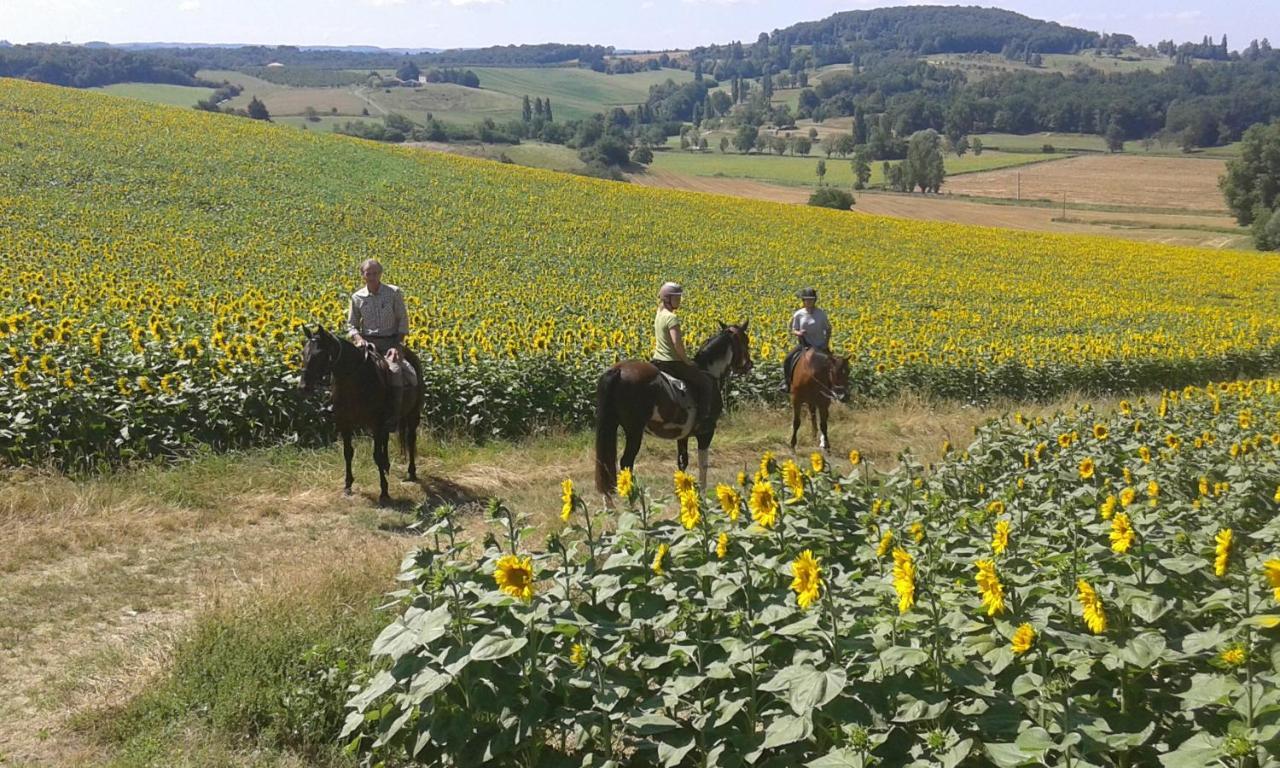 Pailloles Ferme Equestre Des Abronsヴィラ エクステリア 写真