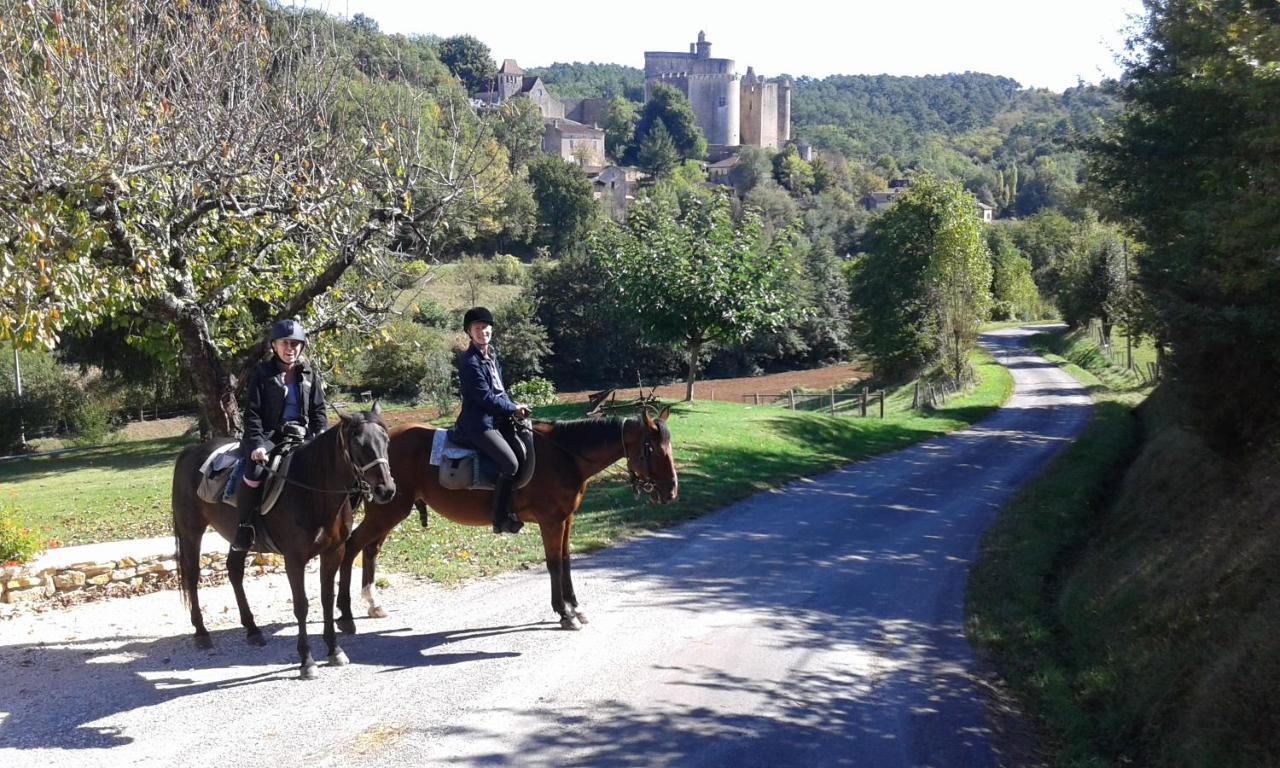Pailloles Ferme Equestre Des Abronsヴィラ エクステリア 写真